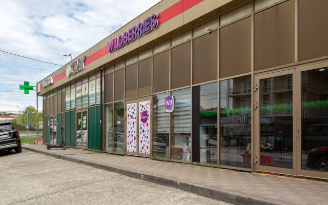 v Siriuse s vidom na Olimpijskij park Flat