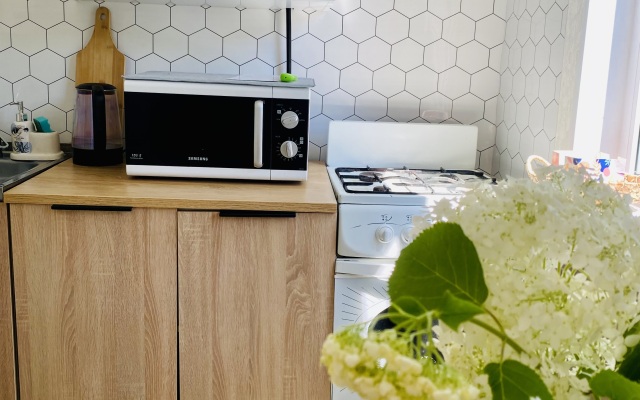 Dvukhkomnatnye nedaleko ot vokzalov Sinyaya ptichka Apartment