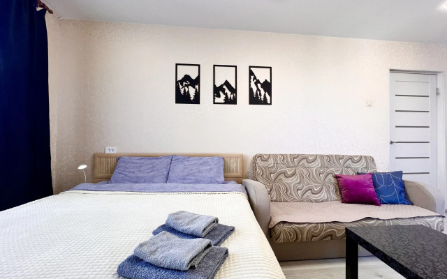 Апартаменты 51 с Шикарным Видом Сканди на Старостина, 33