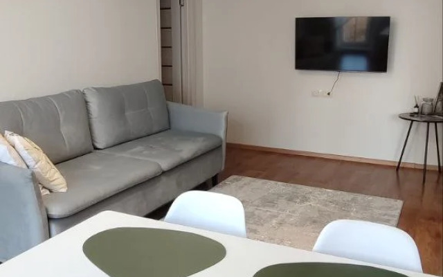 V tsentre goroda Flat