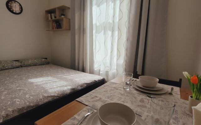 Квартира - студия в иcтoричeскoм цeнтре Санкт-Пeтеpбургa (3)