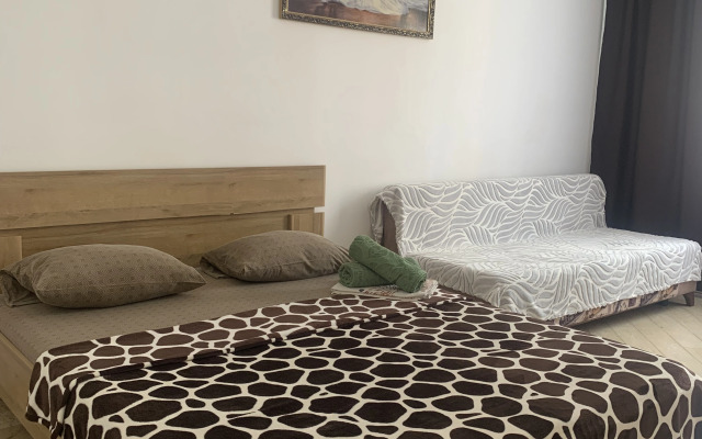 Prekrasnaya Vozle Kristalla Ryadom S Centrom Flat