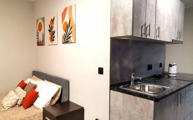 Апартаменты Северное Сияние