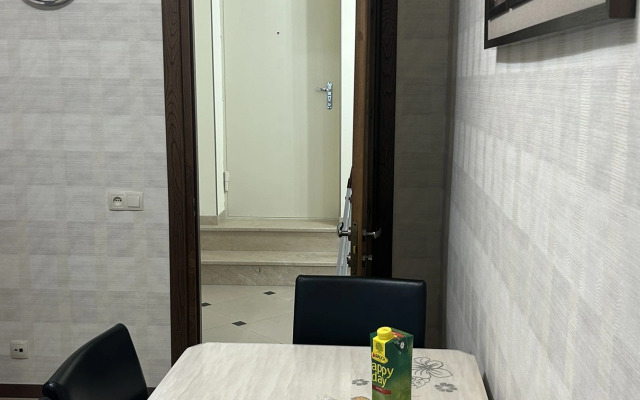 Апартаменты Apartment with marvelous view abanotubani