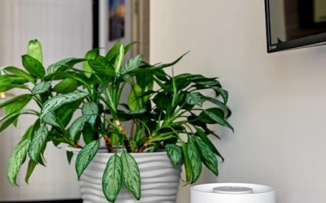 Апартаменты с видом на Москву 4