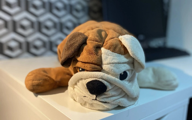 Uyutnaya Trekhkomnatnaya S Shikarnoy lodzhiey Flat