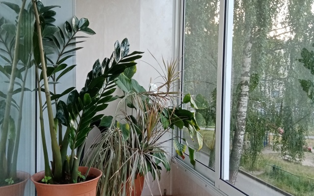 Квартира Гоголя 10