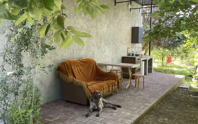 Domik San Tina Guest house