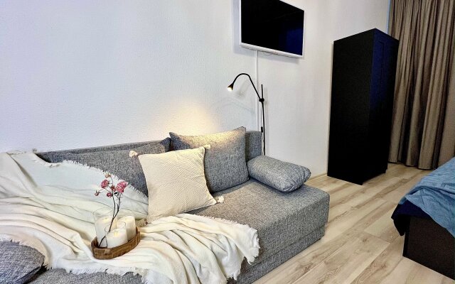 Апартаменты Pashk Inn Artek