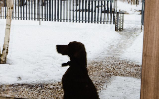 Частный дом