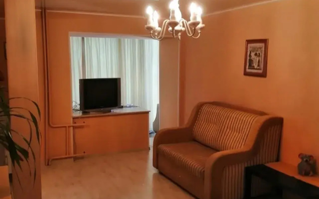 Апартаменты на улице Елизаровых 52