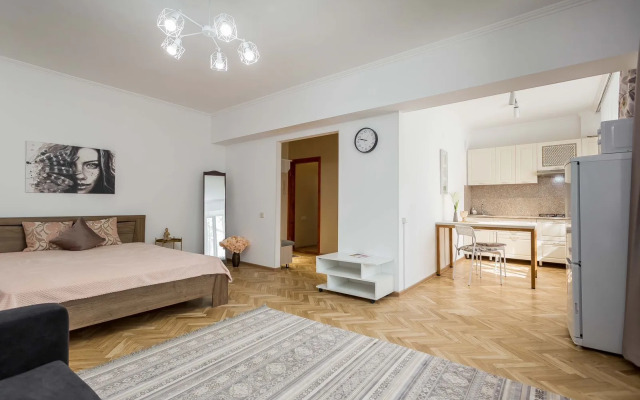 Svetlaya V Tsentre Goroda Flat