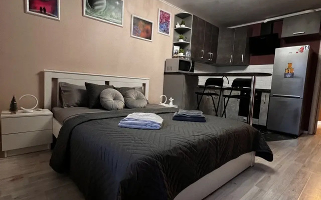 Квартира Студия Пулково-Экспофорум