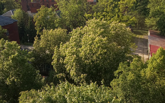 Аппартаменты Этника