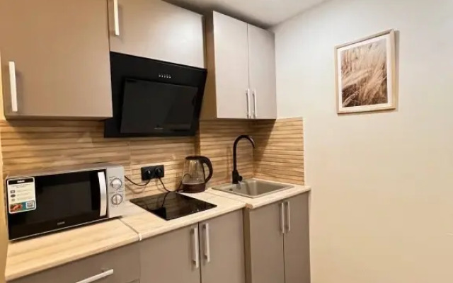 Апартаменты Yellow Lucky Room у Метро Бауманская