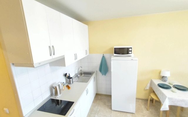 Апартаменты Студия Комфорт с Балконом Lesnaya