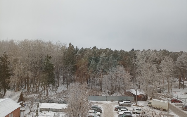 Dvukhkomnatnye U Lerua Merlen I Tts Planeta Apartments