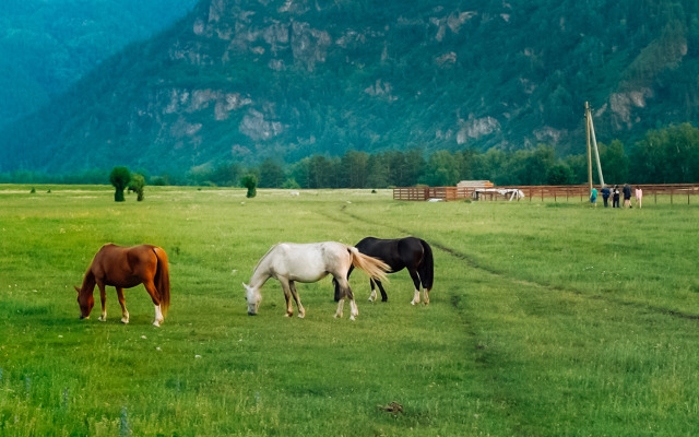 Глэмпинг Небо