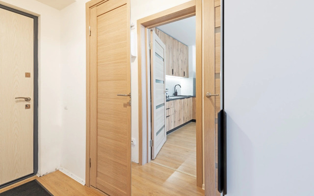 Апартаменты на Дыбенко