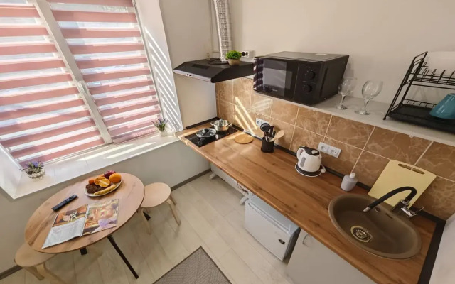 Квартира Студия на 2х по Тухачевского 49/2-22