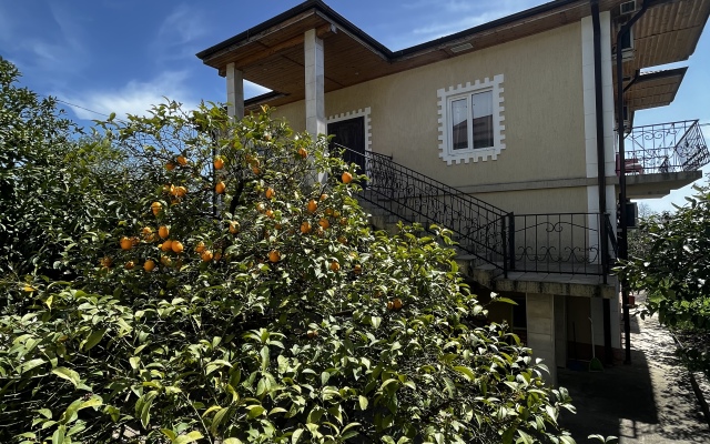 Divny Sad Guest House