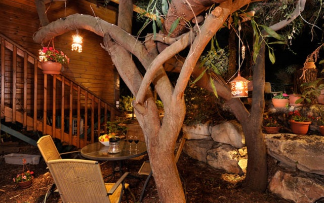 Tree House Chalets Shale