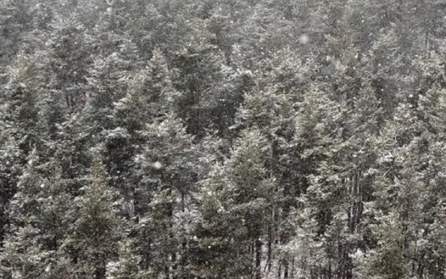 Квартира на Новочеркасской 51