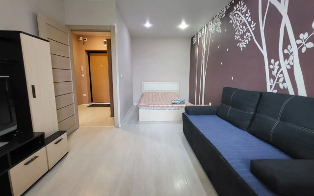 Апартаменты GuestKomi Петрозаводская 27/1 6 этаж