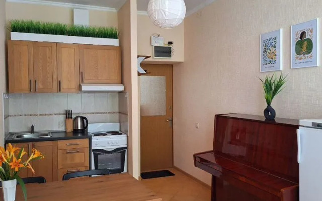 Апартаменты Двухкомнатные в Пocелке Южный