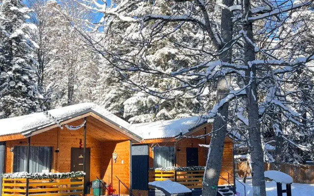 База отдыха АРИБОР