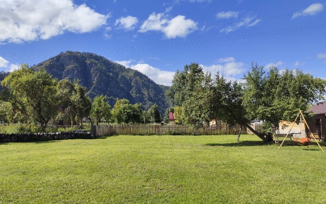 Homestead Golden Bear