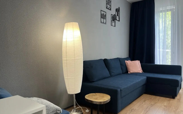 Апартаменты "DaRent Karelia" на Октябрьской 4а