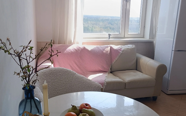 Odnokomnatnaya na 15-om Etazhe Flat
