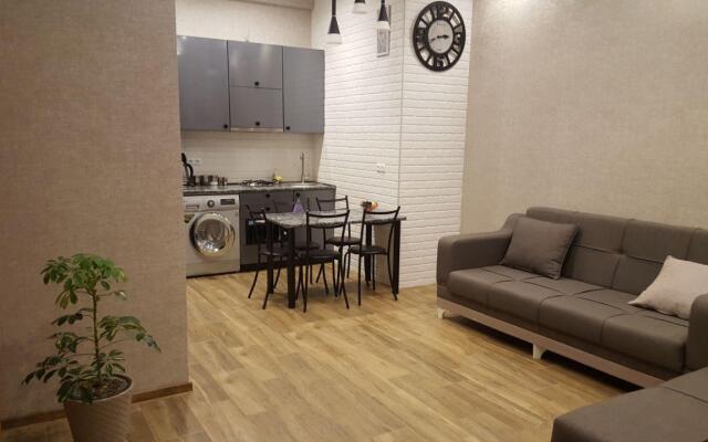Modern Rustaveli Center of Tbilisi Apartments