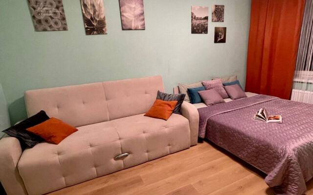 Квартира Светлая квартира в Песочном