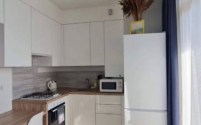 Квартира на Любови Шевцовой 51