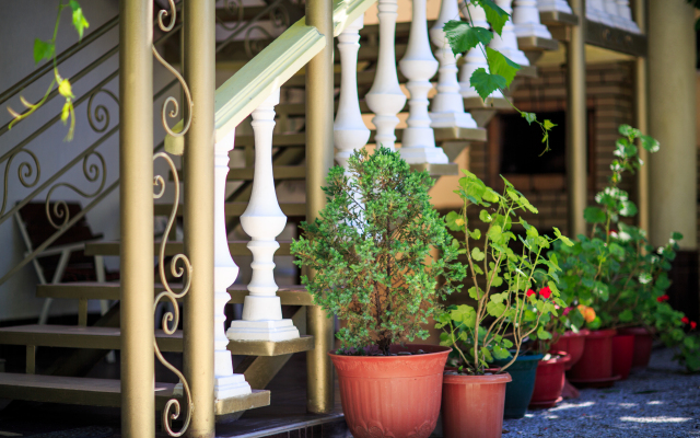 Panorama Guest House