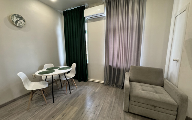 Studiya v tsentre goroda Flat