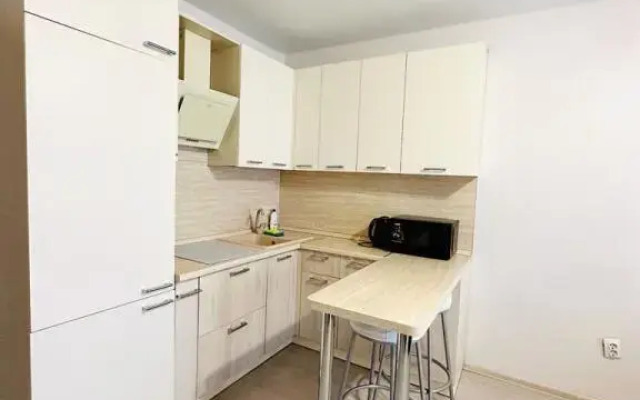 Апартаменты 3 Pant Family House Ватутинки