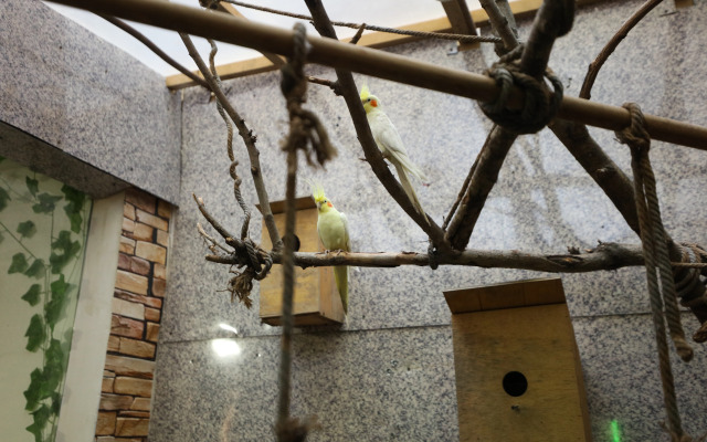 U Ashota Guest house