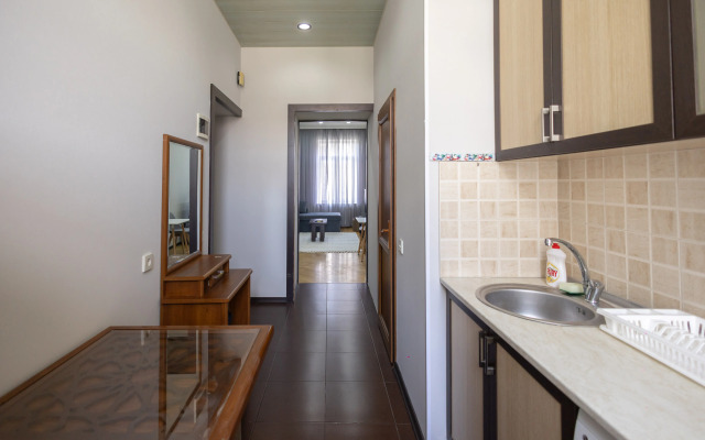 Odnospalnie S Gostinnoy V Tsentre Goroda Apartments