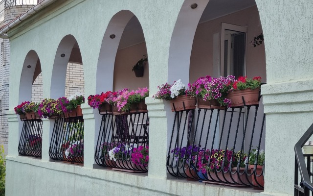 Faro Guest house