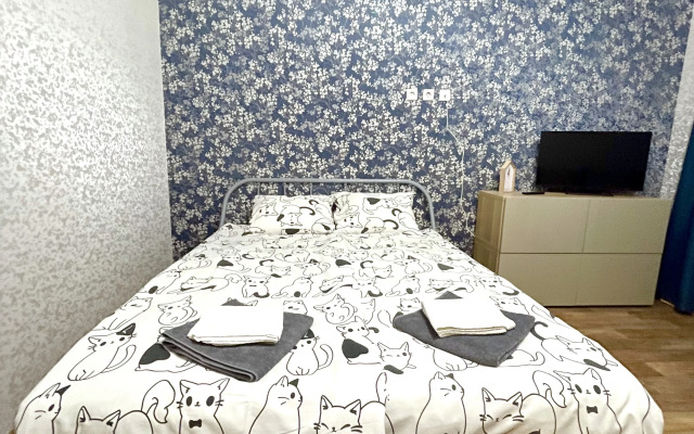 Pskov City Apartments Vladimirskaya 7v Flat
