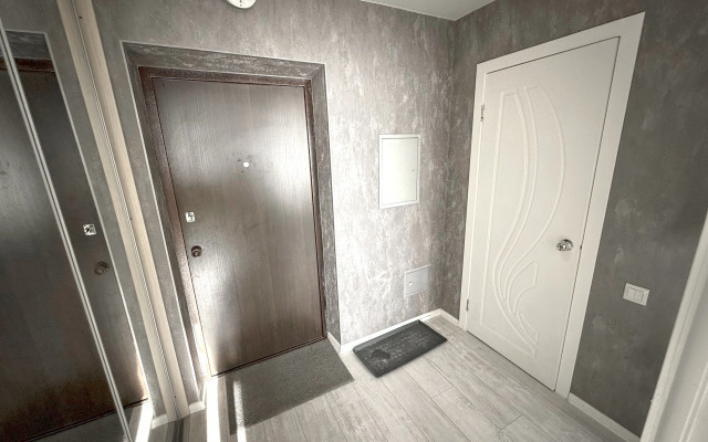 Квартира Белинского 137