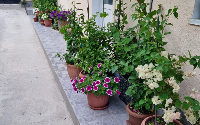 Faro Guest house