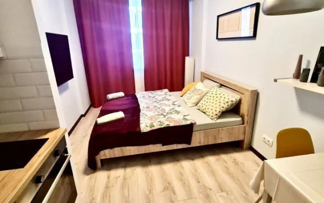 Квартира Уютная Студия с Евроремонтом