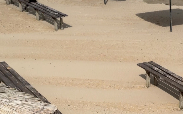 Отель Фламинго