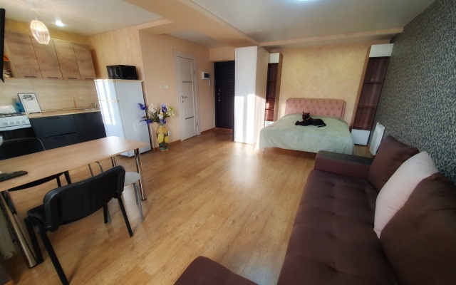 Апартаменты "Багира" рядом Протон-Арена, бассейн ДВВС, СКАД, въезд в город, Р228