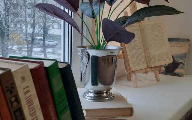 Квартира на набережной Александра Невского