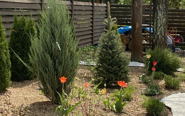 Частный дом Резиденция Мелихово парк